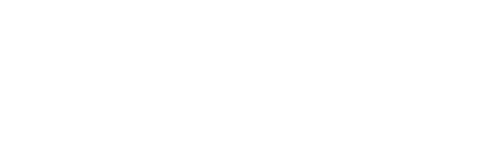 Light Logo